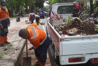Belasan Pot Bunga di Jalan Ijen Malang Rusak, DLH: Pelakunya ODGJ - JPNN.com Jatim