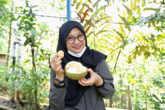 Durian Boneng di Banyuwangi, Dagingnya Tebal dan Tak Berbiji, Penikmatnya Sudah Sampai Luar Negeri - JPNN.com Jatim