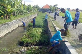Dinas PUPR Kerahkan Pasukan Biru Prokasih Bersihkan Saluran Air Jelang Musim Hujan - JPNN.com Bali