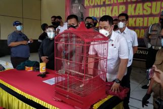 Jual Burung Cendrawasih, M Diamankan Polisi Sidoarjo - JPNN.com Jatim