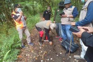 Gunung Abang di Bangli Muncul Banyak Rekahan Tanah Setelah Gempa, Ini Temuan Tim Ahli di TKP  - JPNN.com Bali
