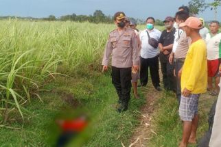 2 Petani Asal Kediri Ditemukan Tergeletak di Sawah, Nahas - JPNN.com Jatim