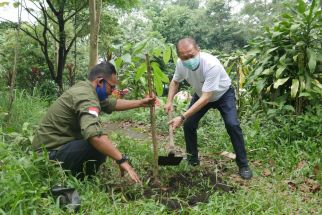 Peringati Hari Menanam Nasional, Kencana Group Tanam 1.000 Pohon di Kaki Gunung Welirang - JPNN.com Jatim