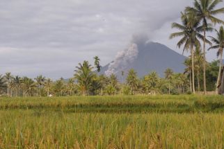 Status Gunung Semeru Naik Dari Waspada 2 Menjadi Siaga Level 3 - JPNN.com Jatim