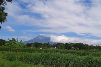 Mencari Rumput Pun Tak Boleh, Gunung Merapi Sedang Siaga - JPNN.com Jogja