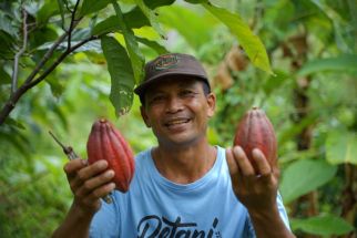 Indonesia Target Jadi Produsen Kakao Nomor 3 Dunia, Jembrana Bali Merespons - JPNN.com Bali