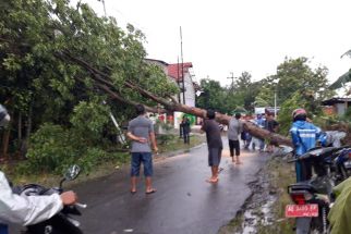 Angin Kencang Terjang Madiun, Puluhan Rumah Warga Alami Kerusakan - JPNN.com Jatim