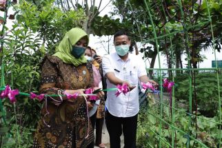 Ikon Baru Kapanewon Piyungan: Taman Toga Ngupoyo Sehat - JPNN.com Jogja