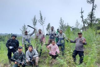 Polisi Temukan 6,28 Hektare Kebun Ganja - JPNN.com Lampung
