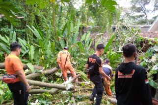 Diterpa Hujan Deras dan Angin Kencang, Kota Bogor Dilanda 50 Titik Bencana - JPNN.com Jabar