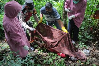 Sempat Hilang dan Dicari Warga, Rini Akhirnya Ditemukan Meninggal di Dekat Kandang Sapi, Ternyata...  - JPNN.com Jogja