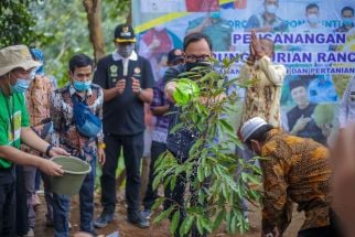 Menyelisik Potensi Kampung Durian Kota Bogor - JPNN.com Jabar