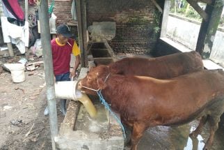 Cerita Mukti Ali, Korban Terdampak Banjir di Malang yang Merugi Hingga Rp 60 Juta - JPNN.com Jatim