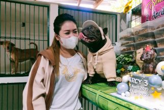 Viral Jagal Anjing di Blitar, Dog Lovers Surabaya Bertindak - JPNN.com Jatim
