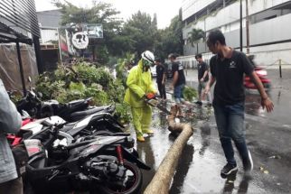 Pepohonan di Kediri Tumbang, Banyak Kendaraan Tertimpa Lalu Rusak - JPNN.com Jatim