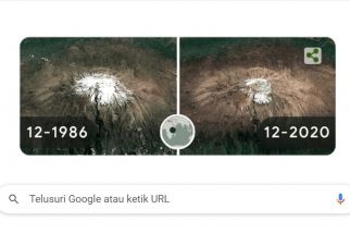 Hari Bumi 2022, Google Doodle Tampilkan Foto Time Lapse 4 Tempat Berikut - JPNN.com Jatim