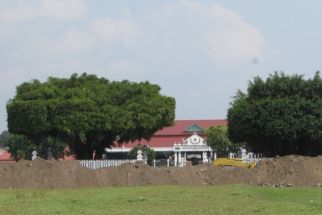 Penuh Makna, Arti Pohon Beringin bagi Keraton Yogyakarta  - JPNN.com Jogja