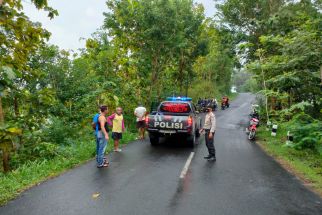 Mobil Pikap Bawa 4 Penumpang Terperosok ke Jurang 50 Meter, Begini Kondisinya - JPNN.com Jogja