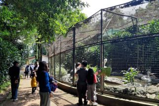 Hari Pertama Lebaran, Kebun Binatang Bandung Diserbu Wisatawan - JPNN.com Jabar