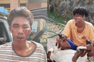 Dua Pencuri Kambing Babak Belur Dihajar Warga - JPNN.com NTB