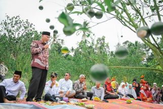 Mahyeldi Serukan Gerakan Ini untuk Membasmi Hama Lalat Buah - JPNN.com Sumbar