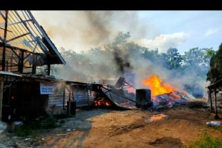 Blower Jadi Biang Kerok Kebakaran Gudang Kayu Sengon di Turen Malang - JPNN.com Jatim