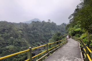 Viral di Jogja, Kalikuning Ditutup, Objek Wisata Alternatif Diburu Pelancong - JPNN.com Jogja