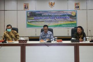 Alih Fungsi Lahan Pertanian Marak, Pemkab Lombok Timur Kampanye - JPNN.com NTB