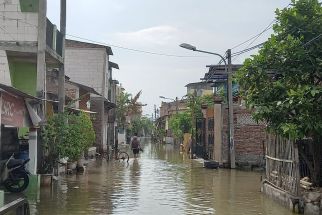 Update Banjir Rob Semarang, Ketinggian Air di Tambaklorok Hanya Turun 5 Cm - JPNN.com Jateng