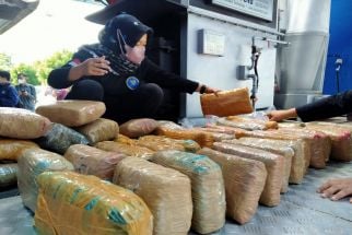 Puluhan Kilogram Narkotika Dimusnahkan, BNNP Jawa Tengah Tidak Akan Lengah - JPNN.com Jateng