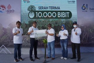 Tanam 2061 Pohon Mangrove, Bank Bjb Dukung Gerakan APU PPT - JPNN.com Jabar