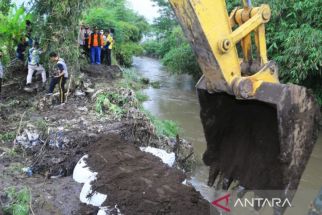 Tanggul Sungai Rusak, Lahan Pertanian Seluas 125 Hektare di Probolinggo Kebanjiran, Alamak - JPNN.com Jatim