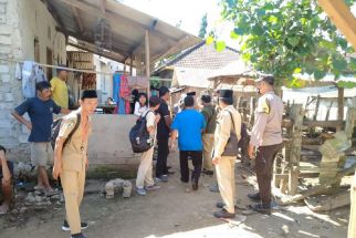 7 Sapi Sakit di Sekotong, Ciri-cirinya Sariawan di Bagian Ini - JPNN.com NTB