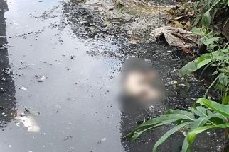 Geger, Warga Jemur Ngawinan Temukan Jasad Bayi Mengapung di Sungai - JPNN.com Jatim