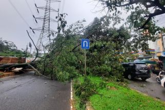 Gegara Pohon Tumbang, Lalu Lintas di Jalan Boulevard GDC Macet Panjang - JPNN.com Jabar