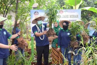 Pemkab Bogor Resmikan Kampung Herbal di Desa Pamegarsari - JPNN.com Jabar