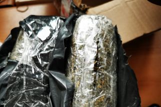 Bea Cukai Bandung Gagalkan Upaya Penyelundupan 1,6 Kg Ganja Asal Medan - JPNN.com Jabar