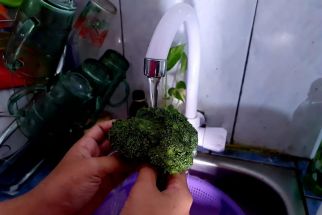 Dishanpan Jateng Ingatkan Pentingnya Cuci Sayur & Buah Sebelum Dikonsumsi - JPNN.com Jateng
