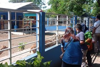 Taman Flora Surabaya Jadi Destinasi Wisata tuk Habiskan Masa Liburan Sekolah - JPNN.com Jatim