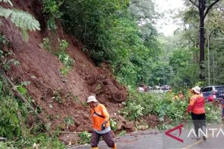 Gunung Gumitir Longsor, Masyarakat yang Melintasi Jalur Jember-Banyuwangi Waspada - JPNN.com Jatim