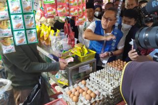 Mendag Zulhas Datang ke Pasar Cicalengka, Harga Bapok Langsung HET - JPNN.com Jabar