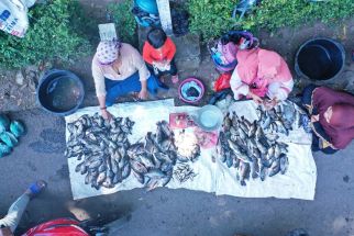 Fenomena Koyo Terjadi, Ikan di Ranu Klakah Dijual Setengah Harga - JPNN.com Jatim