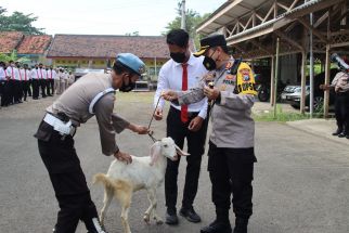 Kapolres Bangkalan Berikan Hadiah Tak Terduga Kepada Anak Buahnya, Seekor Embek - JPNN.com Jatim