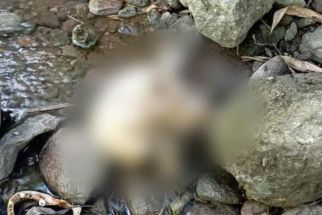 Hasil Autopsi Kerangka Manusia di Kendal, Ditemukan Tanda Kekerasan - JPNN.com Jateng