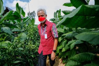 Ganjar Tunjukkan Keberpihakan kepada Petani Tembakau, Gagas Tobacco Center - JPNN.com Jateng