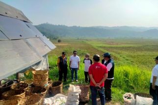 Pemkab Purwakarta Beri Ganti Rugi Sawah yang Terdampak Air Lindi TPA Cikolotok - JPNN.com Jabar