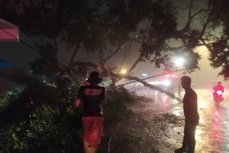 Gegara Cuaca Ekstrem 25 Bencana Kepung Kota Bogor - JPNN.com Jabar