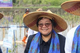 Mangrove Pantura Jateng Mulai Terkikis, Begini Aksi Menteri LHK Siti Nurbaya - JPNN.com Jateng