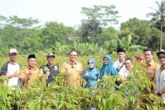 Pemkab Bogor Bakal Menyulap Kecamatan Cijeruk Jadi Sentra Bibit Durian - JPNN.com Jabar