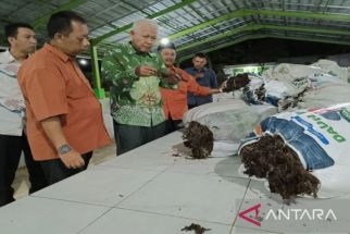 Wow! UMKM di Sumenep Ekspor 240 Ton Rumput Laut ke Cina Setiap Bulan - JPNN.com Jatim